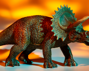 Le Top 5 des vêtements dinosaures pour enfant & adulte à offrir ? Le Top 5 des vêtements dinosaures pour enfant & adulte à offrir ?