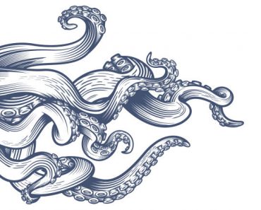 Le Kraken est-il considéré comme faisant partie du genre Steampunk ?