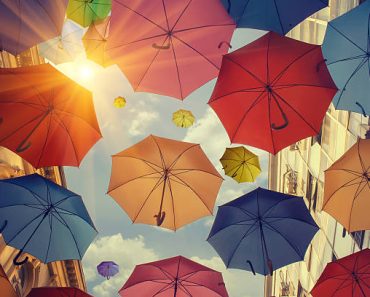 Pourquoi le nombre de baleines varient d’un parapluie à un autre ? Pourquoi le nombre de baleines varient d’un parapluie à un autre ?
